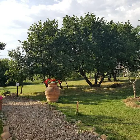 Podere Le Spighe Country house *