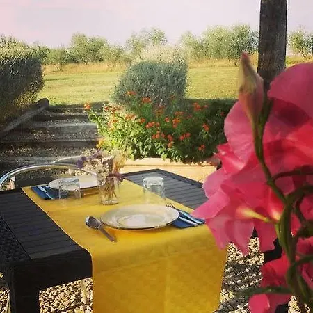 Podere Le Spighe Country house Castroncello