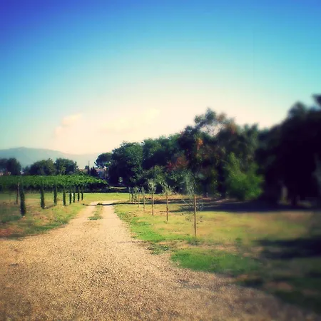 Podere Le Spighe * Castroncello